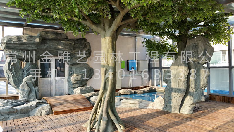 北京市八一中學(xué)屋頂花園7